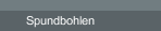 Spundbohlen